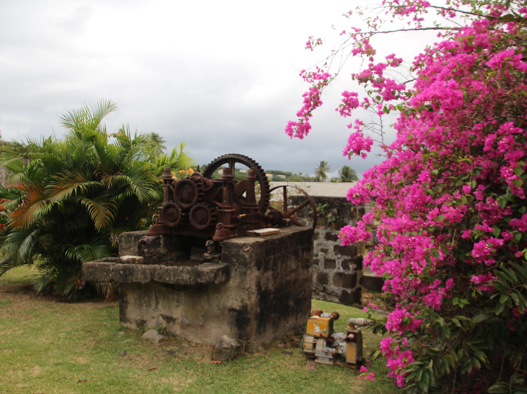 Westerhall Estate-Becke Moui必去景点