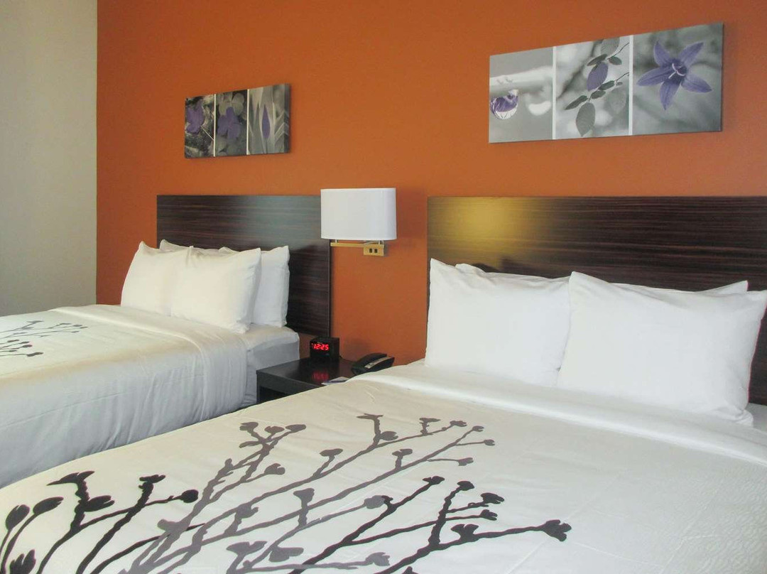 Sleep Inn & Suites Oregon - Madison主图