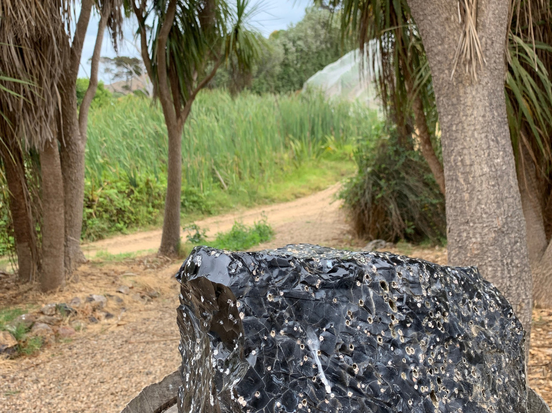 Obsidian Vineyard景点图片