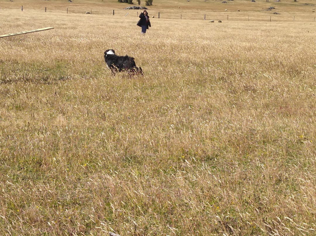 Fundo don Gerardo-Coyhaique必去景点