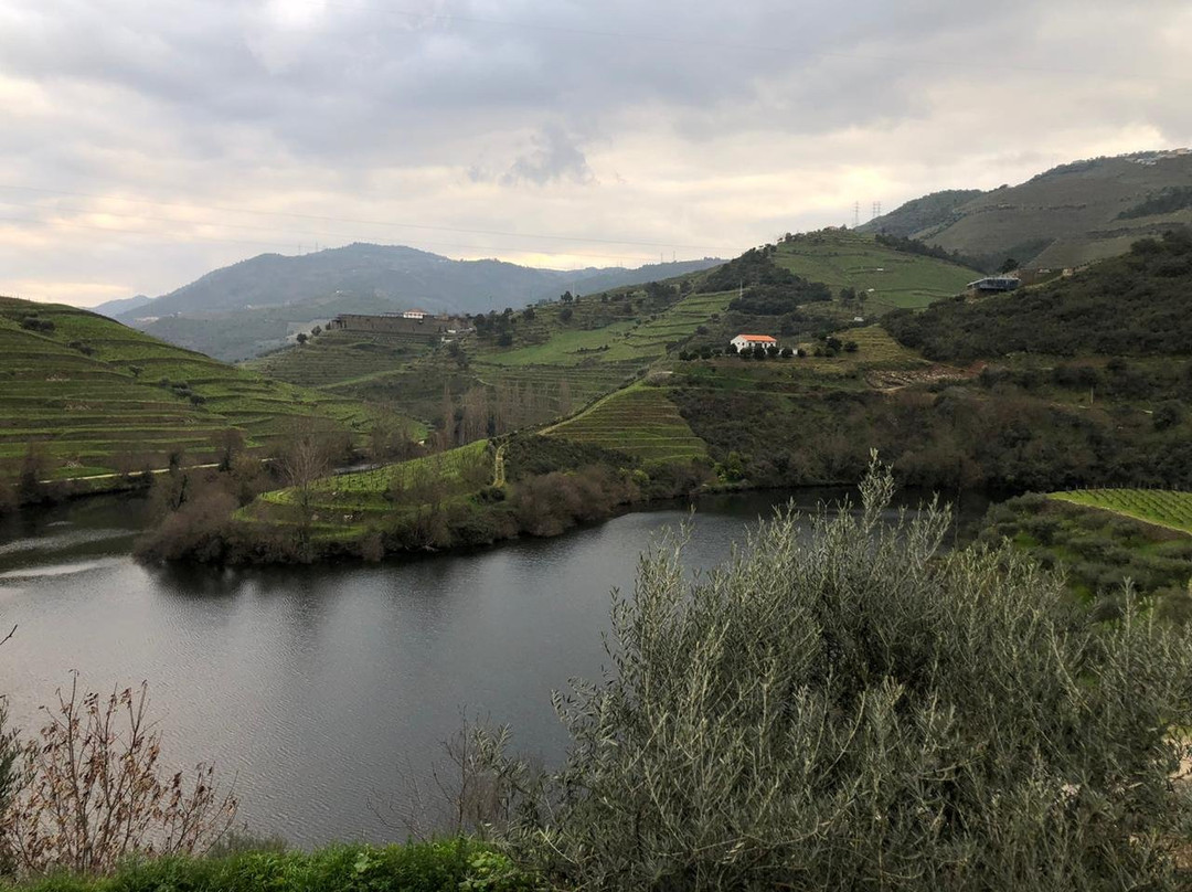 Quinta do Tedo主图