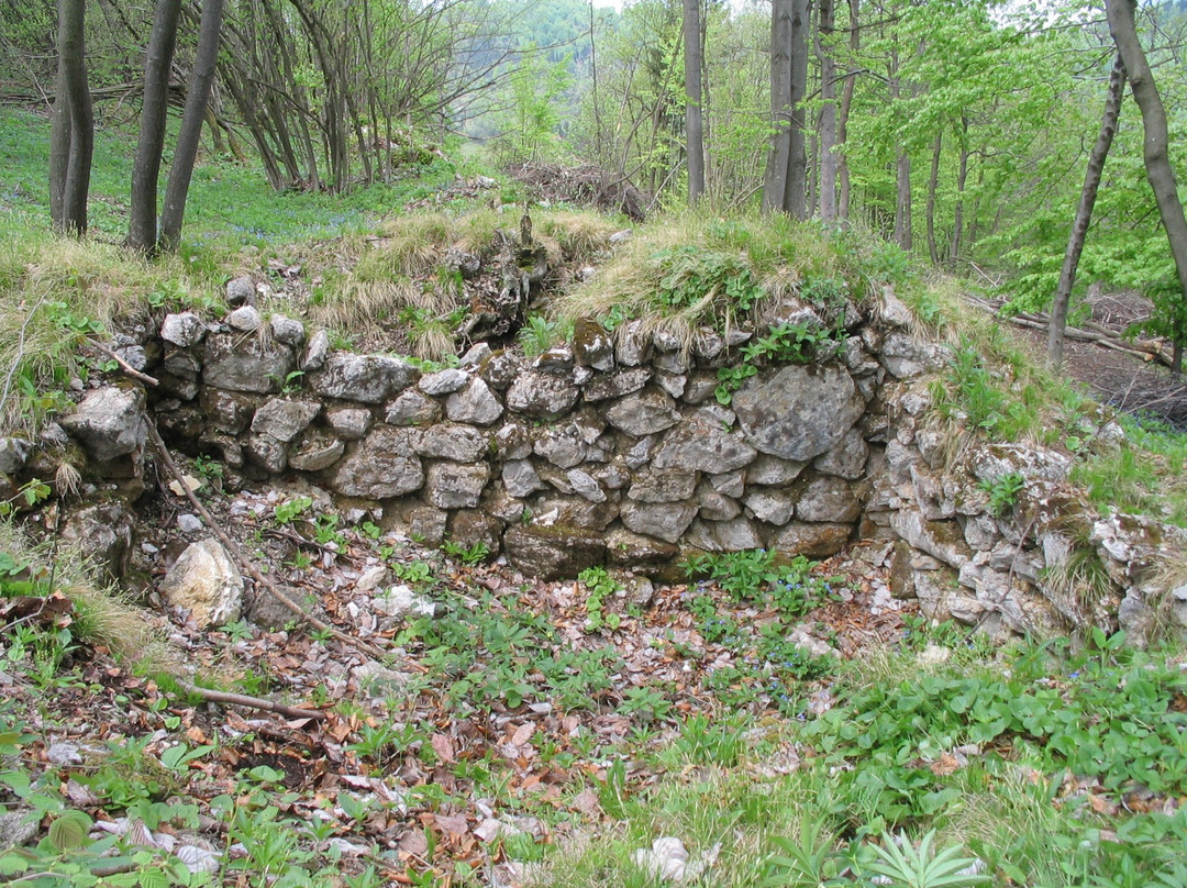 Claustra Alpium Iuliarum