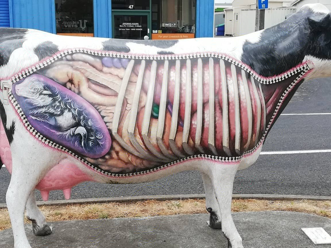 Morrinsville Mega Cow-Morrinsville必去景点