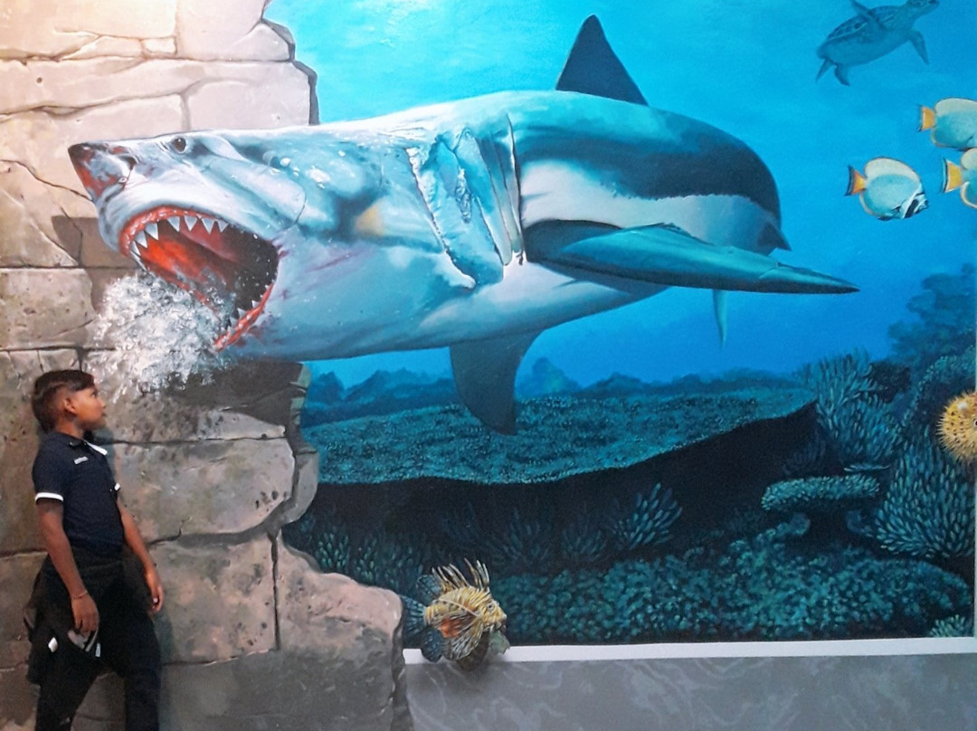 Magic Art 3D Museum-马六甲必去景点