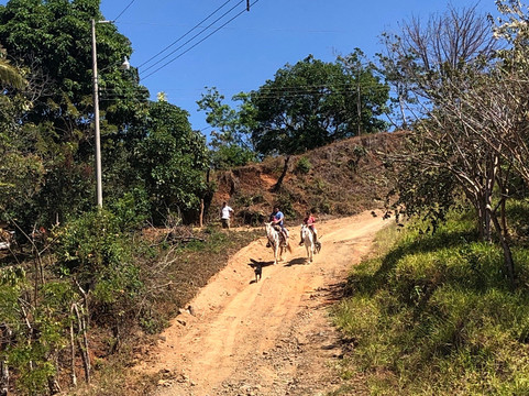 Zaragoza旅游攻略图片