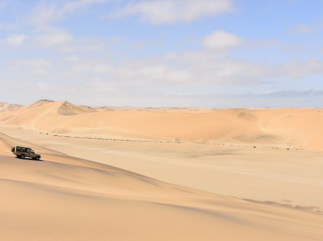 Living Desert Adventures景点图片