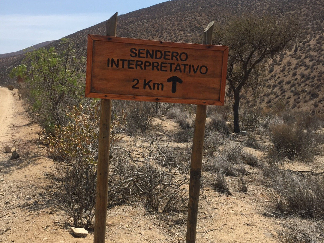 Reserva Nacional Las Chinchillas-Illapel必去景点