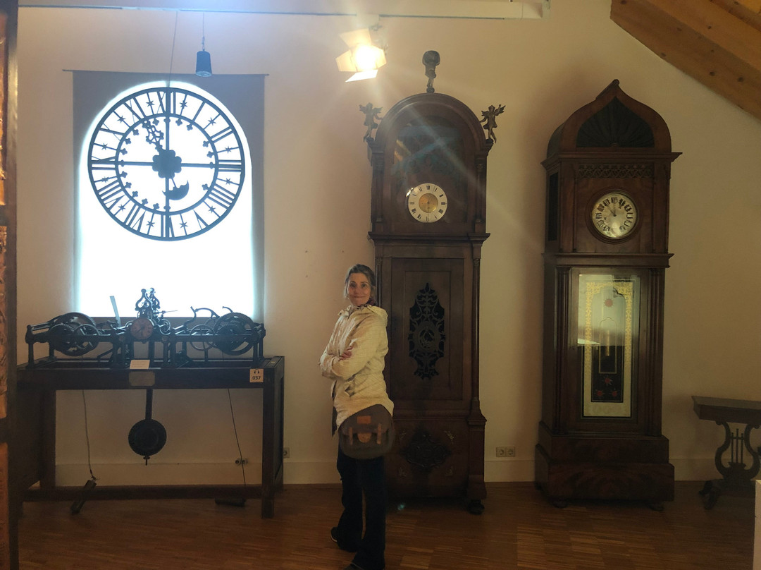 Black Forest Museum景点图片