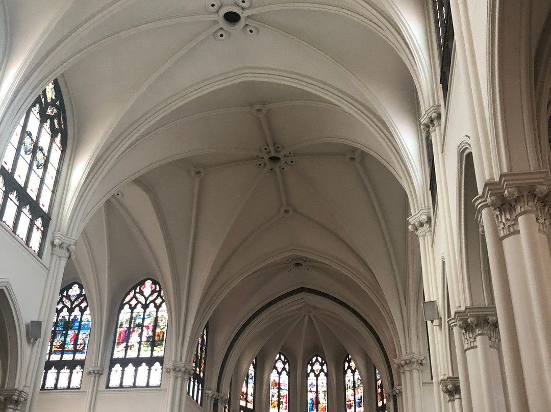 Cathedral of the Immaculate Conception景点图片