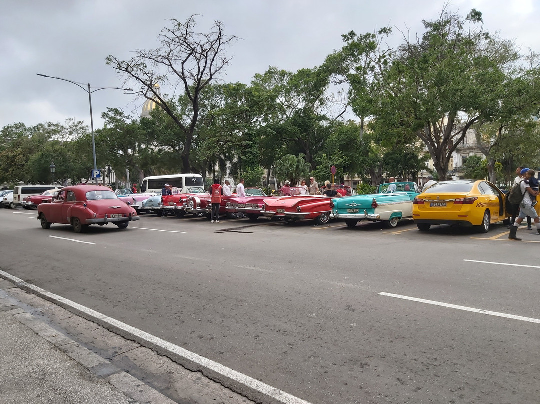 Nely Havana Car Tour-哈瓦那必去景点