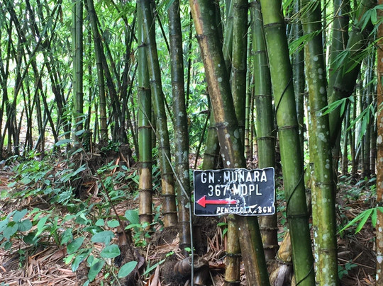 Munara Mountain-茂物必去景点