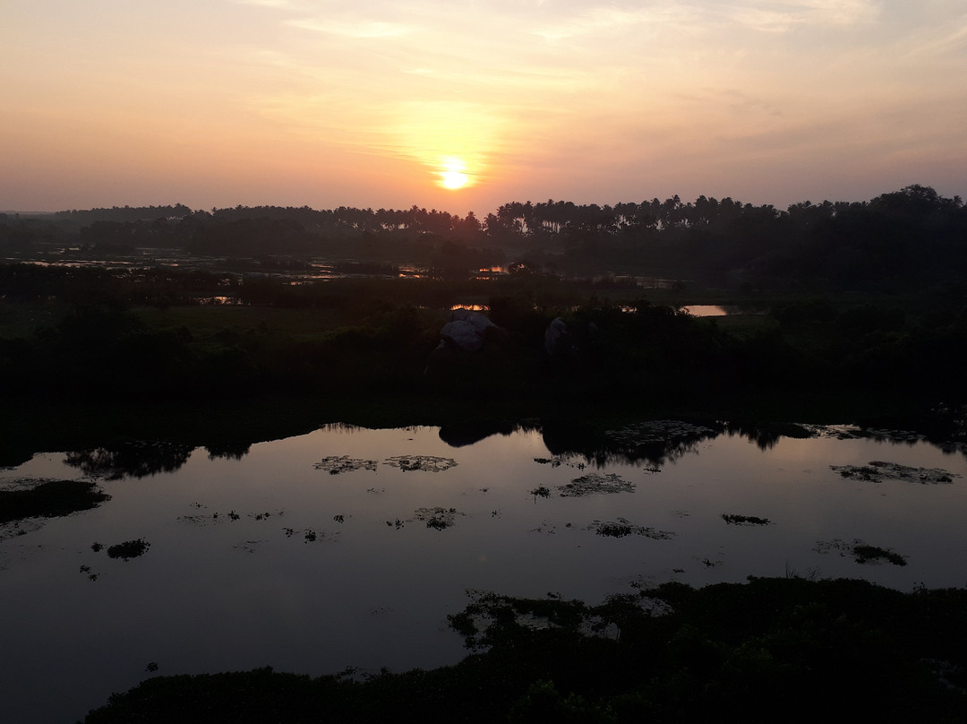 Kalametiya Lagoon Bird Sanctuary & Wetland Park景点图片