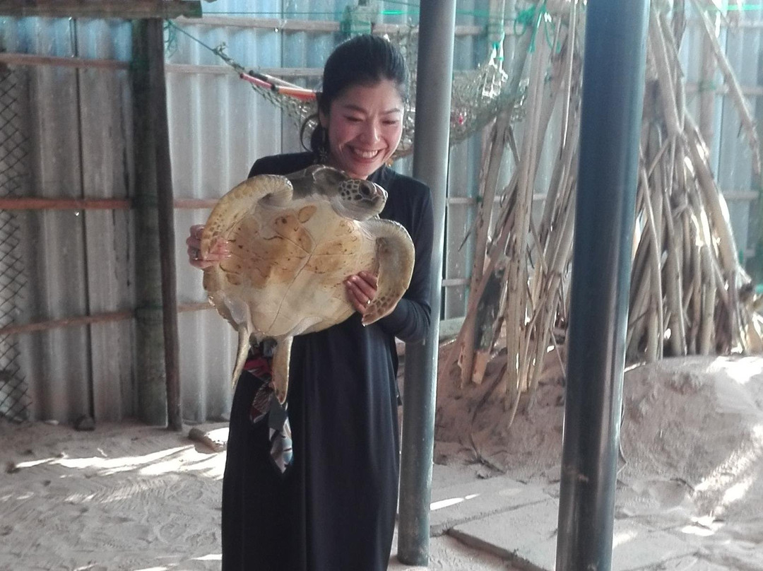 Sarisaralanka Holiday Tours-斯里贾亚瓦德纳普拉必去景点