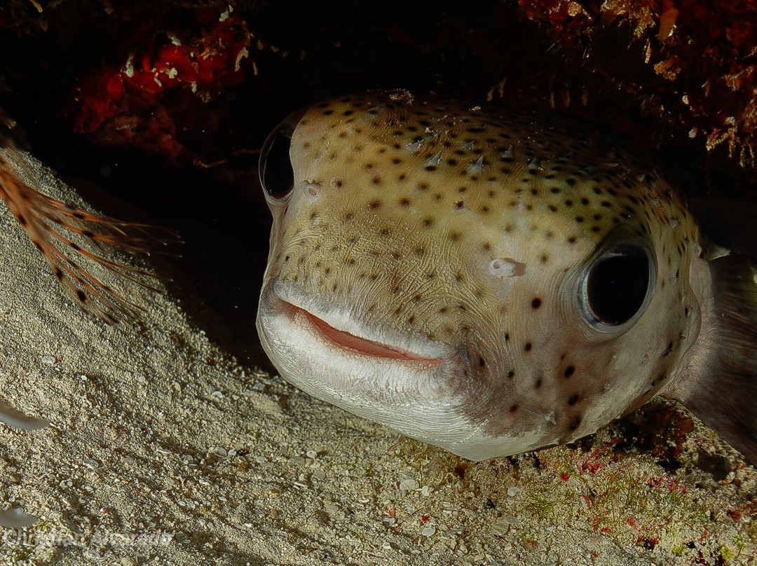 Global Dr Tours-巴瓦罗必去景点