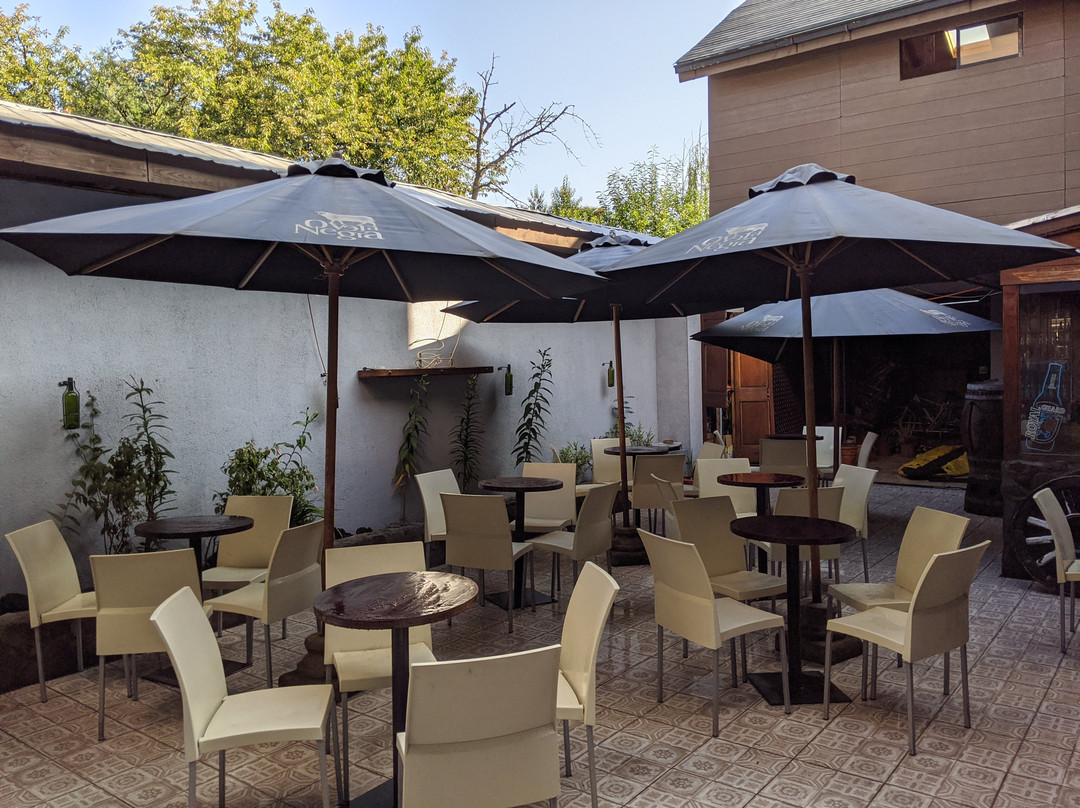 Lican Ray Hotel主图