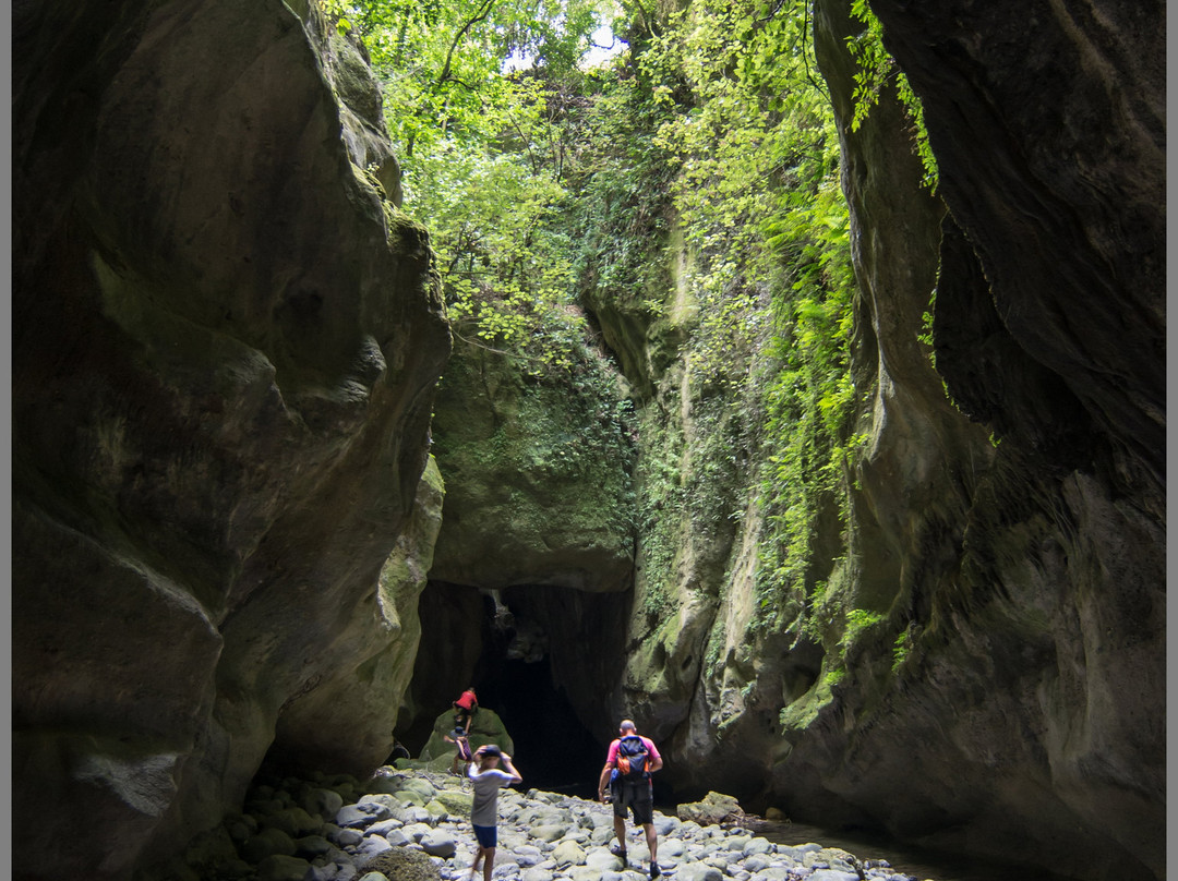 Patuna Farm Adventures景点图片
