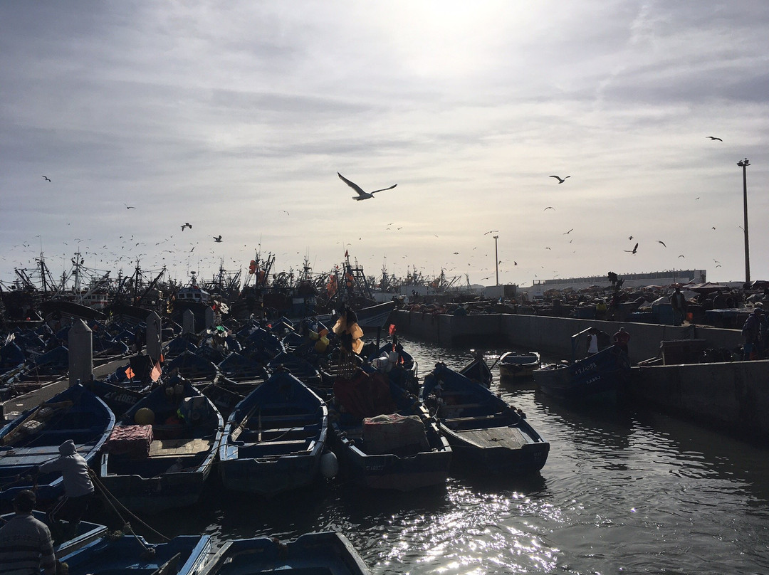 Alipok Tours-瓦尔扎扎特必去景点