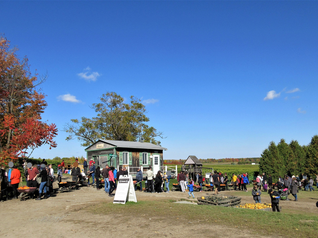Centre d'Interpretation de la Courge du Quebec-Saint-Joseph-du-Lac必去景点