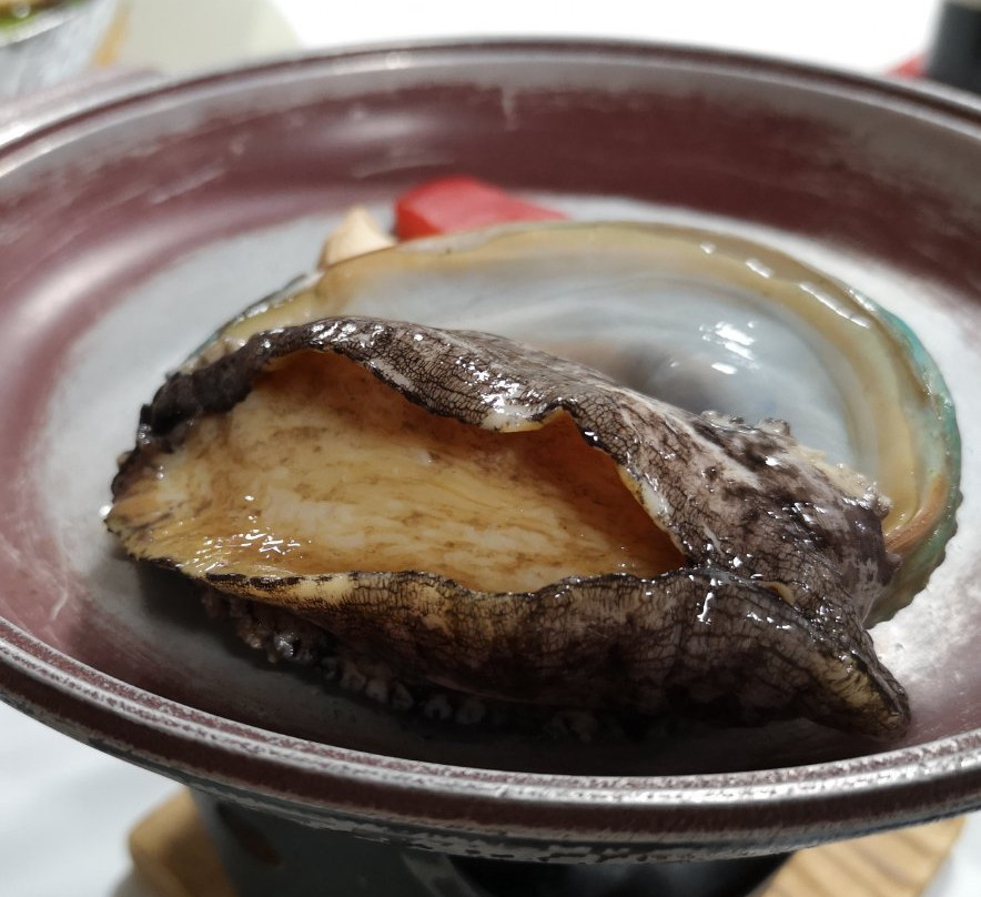 Shirakami Onsen Hotel主图