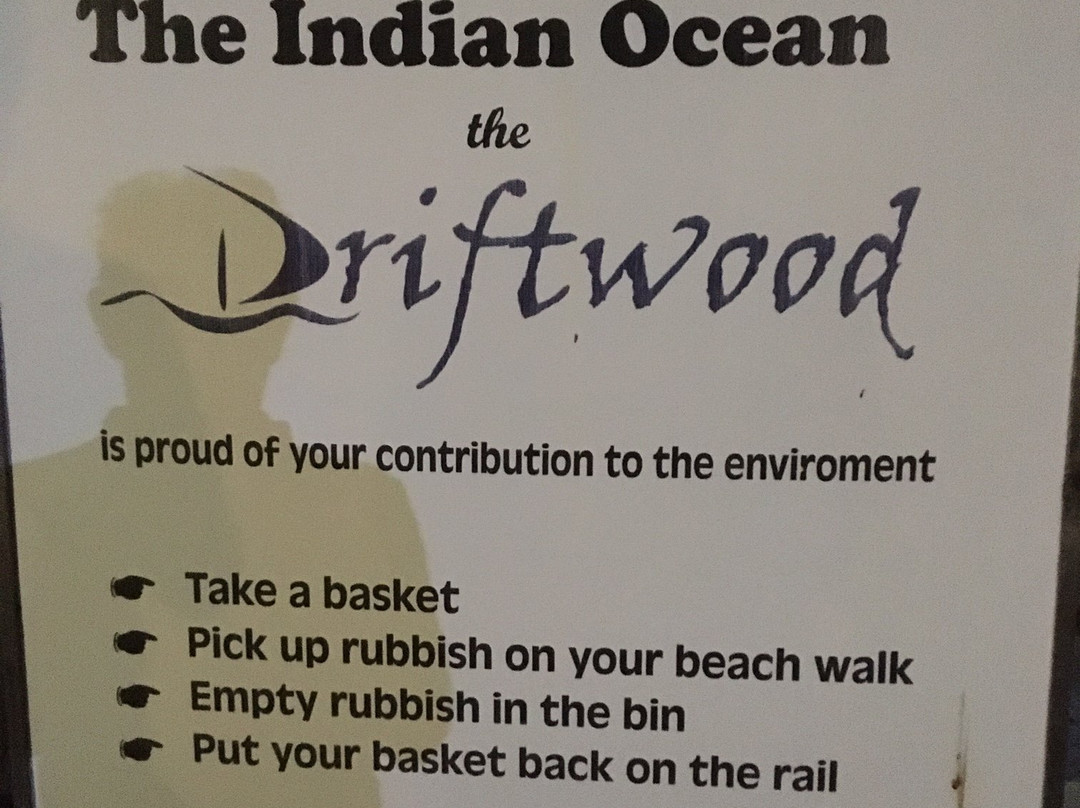 Driftwood Beach Club主图
