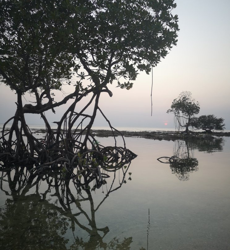 Kalapani Beach Resort主图