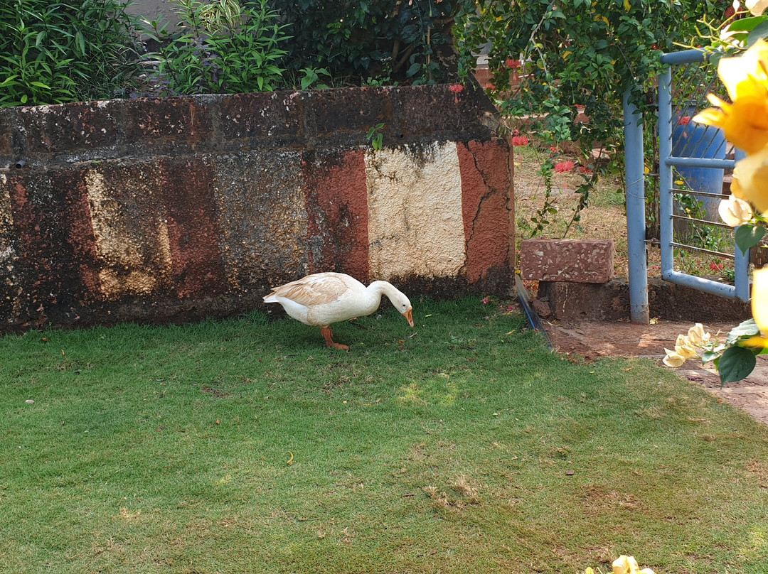 Westbay Resort and Spa主图