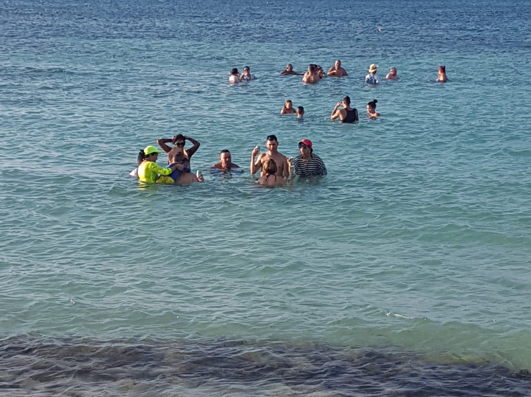 Gran Club Santa Lucía主图