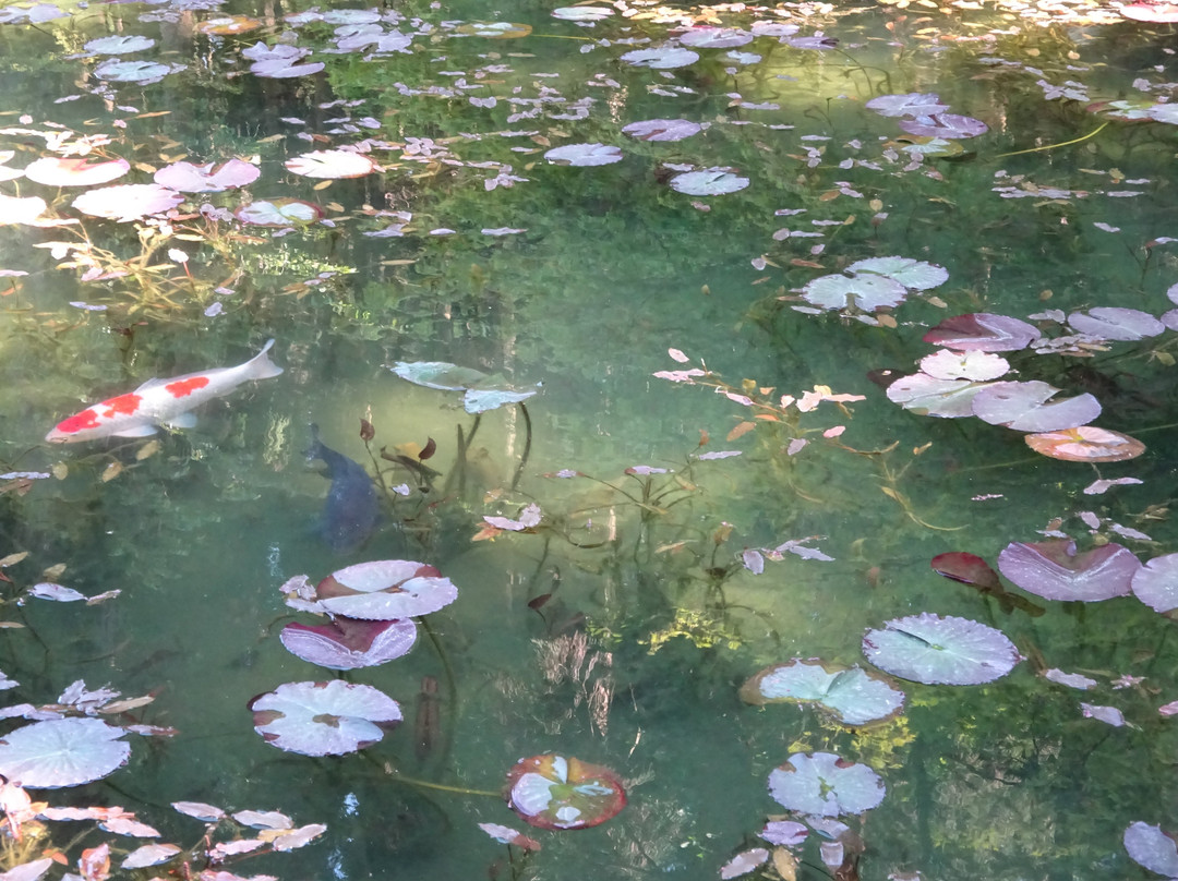 Nemichi Shrine-关市必去景点