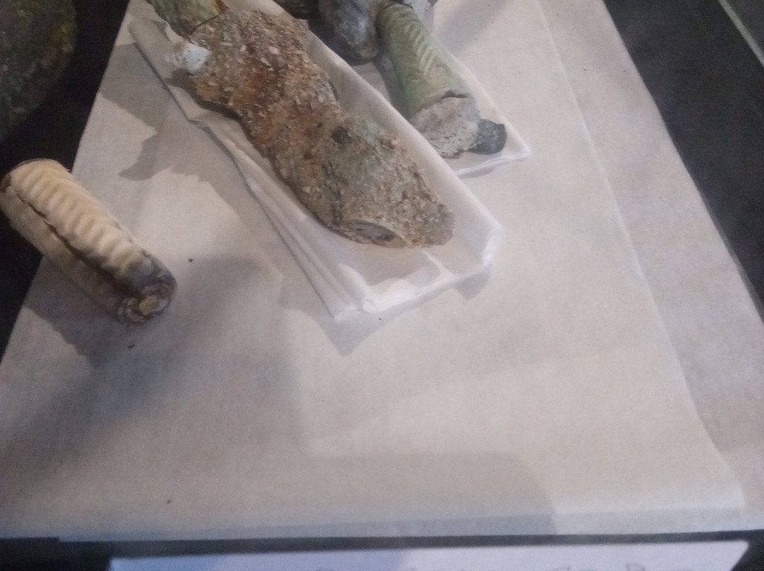 Museu do Naufragio-弗洛里亚诺波利斯必去景点