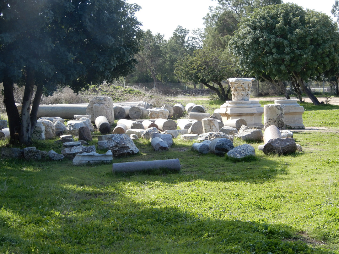 Ashkelon national park景点图片