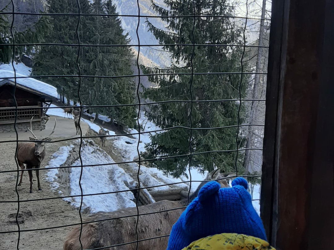 Parco Nazionale Dello Stelvio-Silandro必去景点