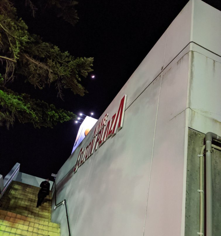 Nikke Coltonplaza-市川市必去景点