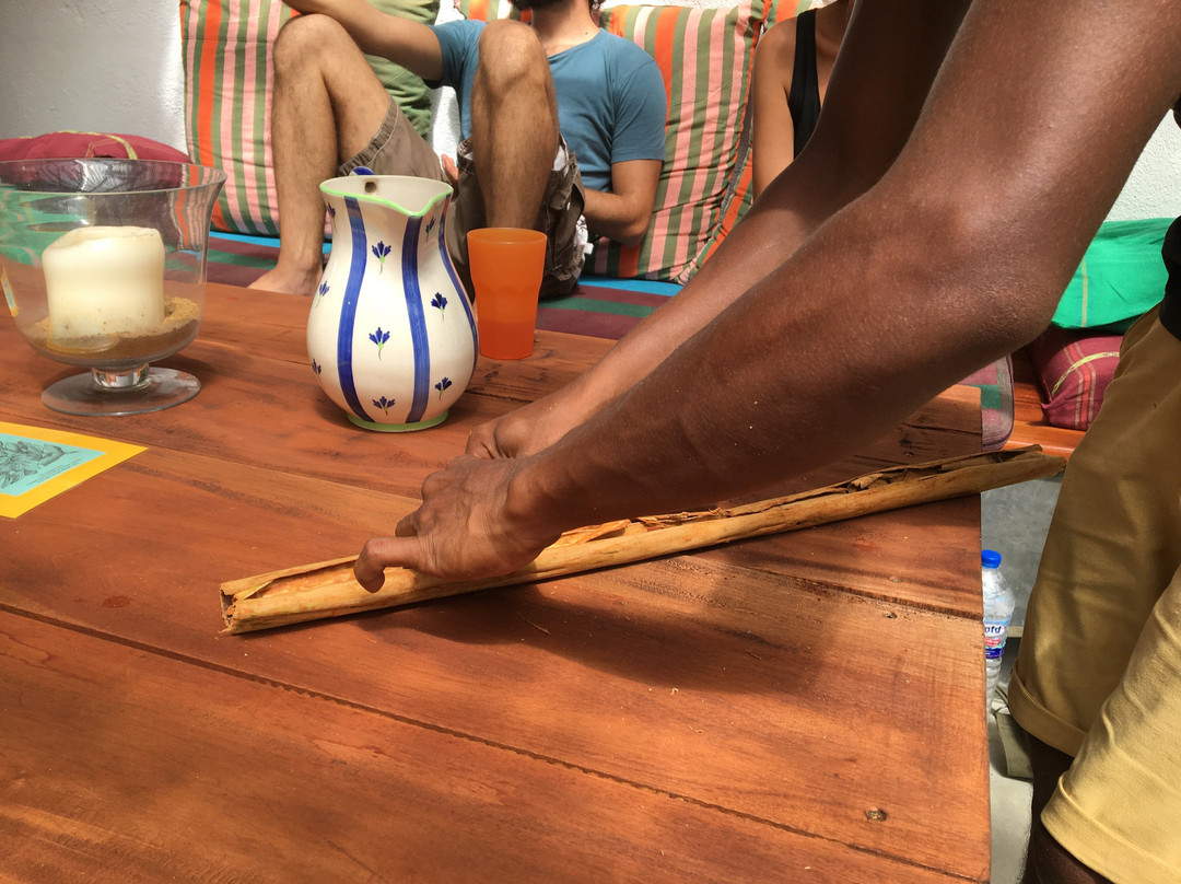 Shikra Cinnamon-Gandara必去景点