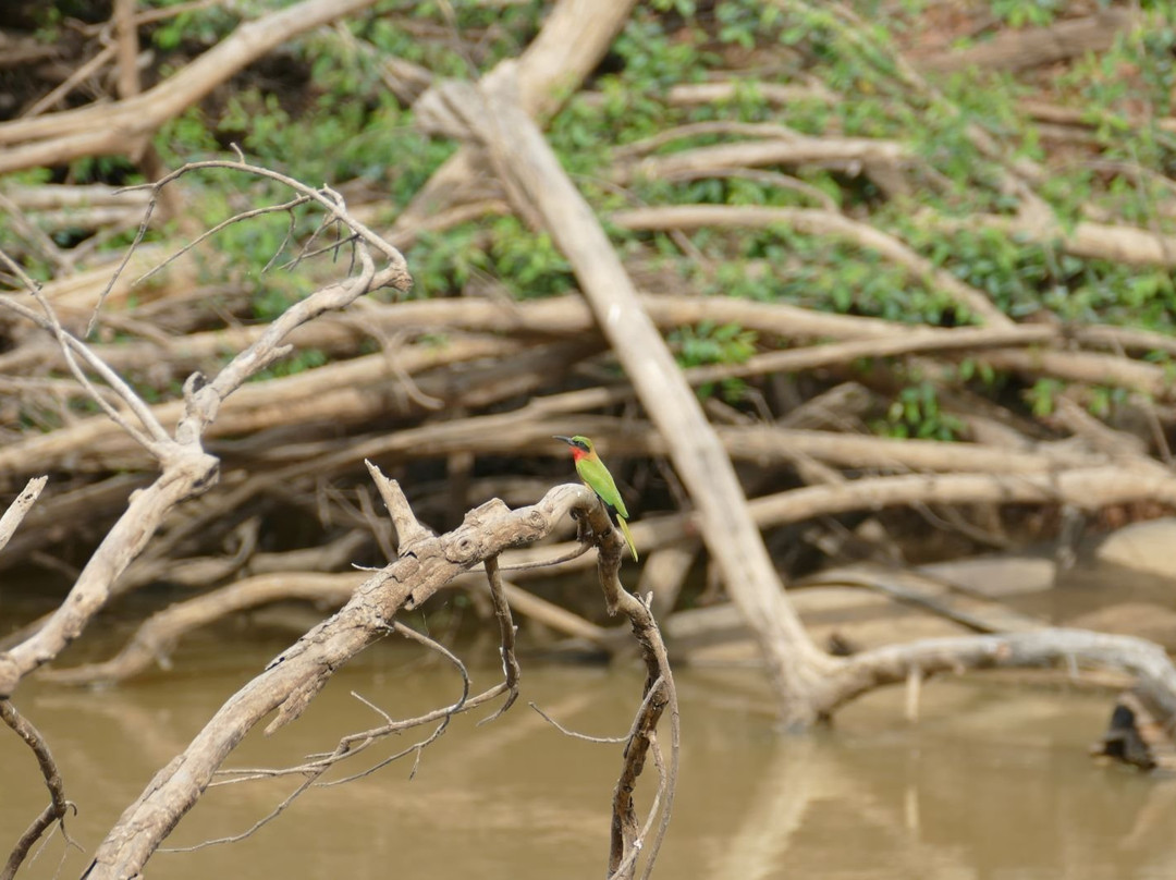 Pendjari National Park-Tanguieta必去景点