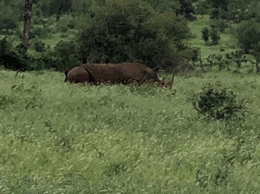 Sensing Africa-霍德斯普鲁特必去景点