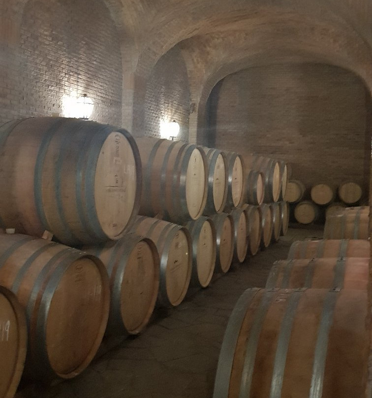 Vina El Principal景点图片