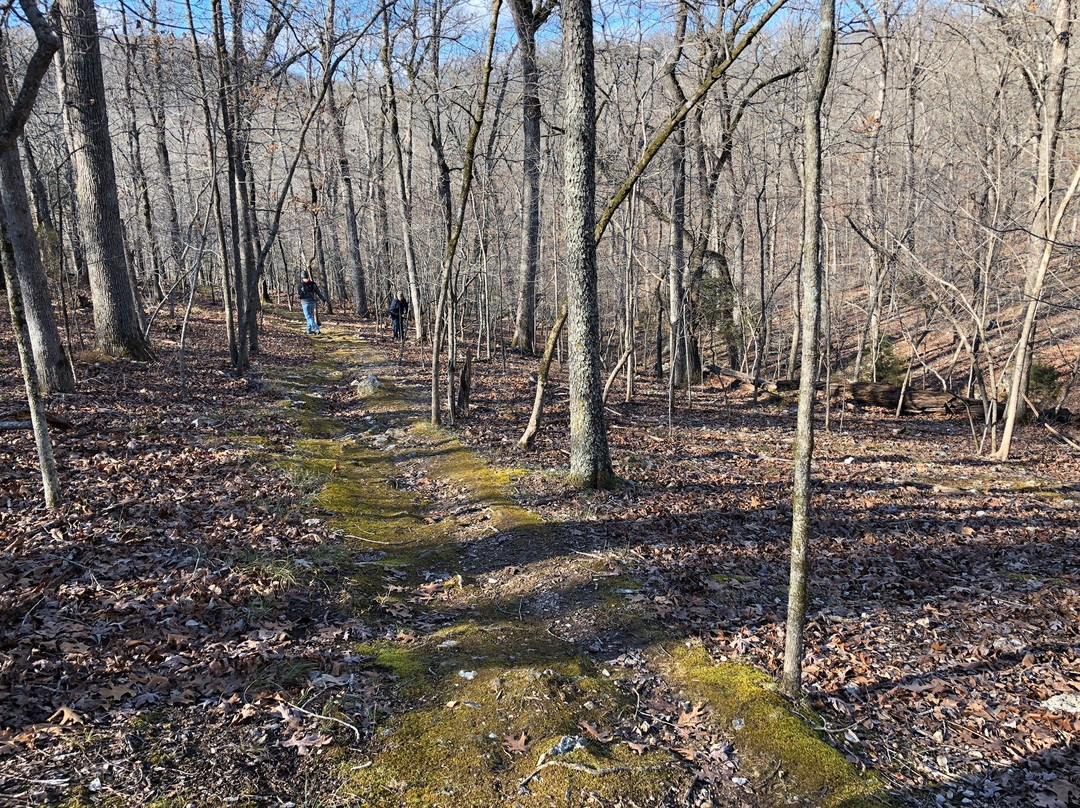 Bull Shoals-White River State Park景点图片