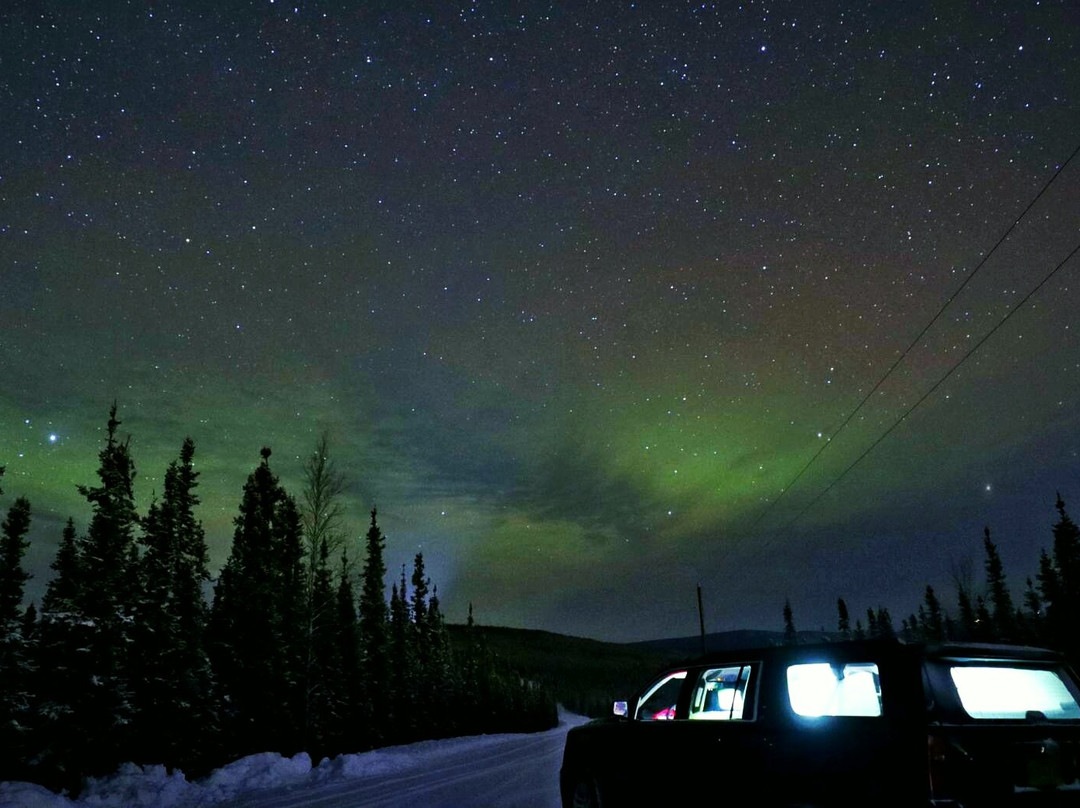 Bill's Tours and Charters-费尔班克斯必去景点