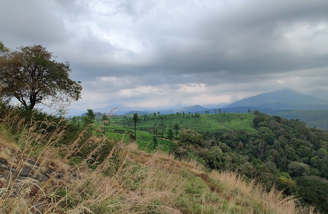 Nallamudi Viewpoint景点图片