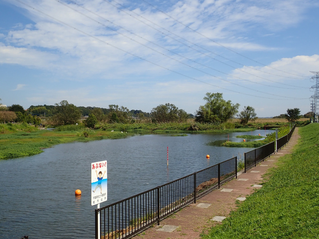 Kashiwafurusato Park-柏市必去景点