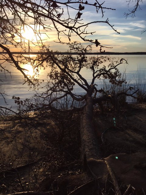 Eagle Mountain Park-沃思堡必去景点