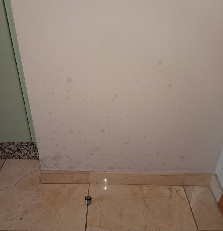 Hotel Apartamentos Ciudad de Lugo主图