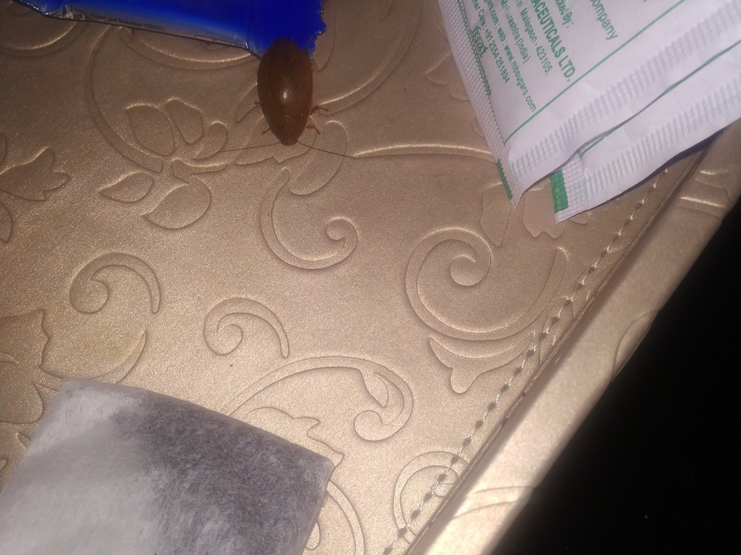 佩里亚尔山宫殿酒店主图