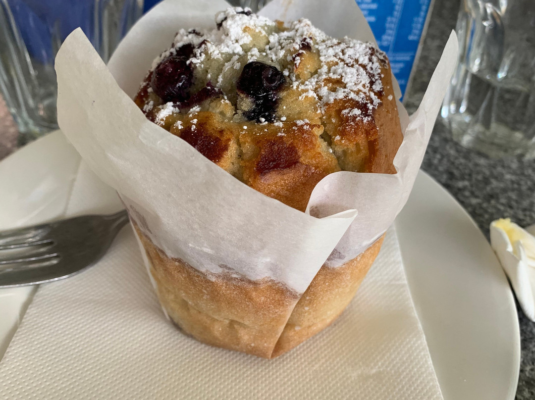 Paluma Rainforest Inn主图