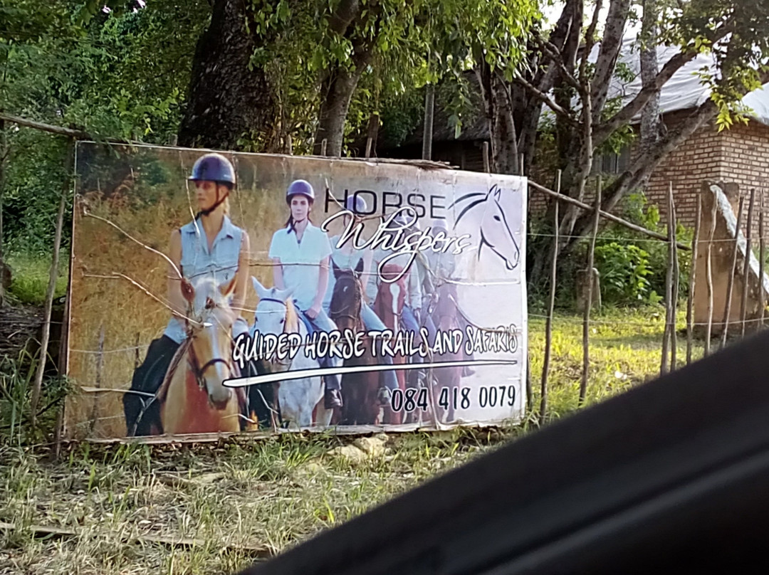 Horse Whispers-雾观必去景点