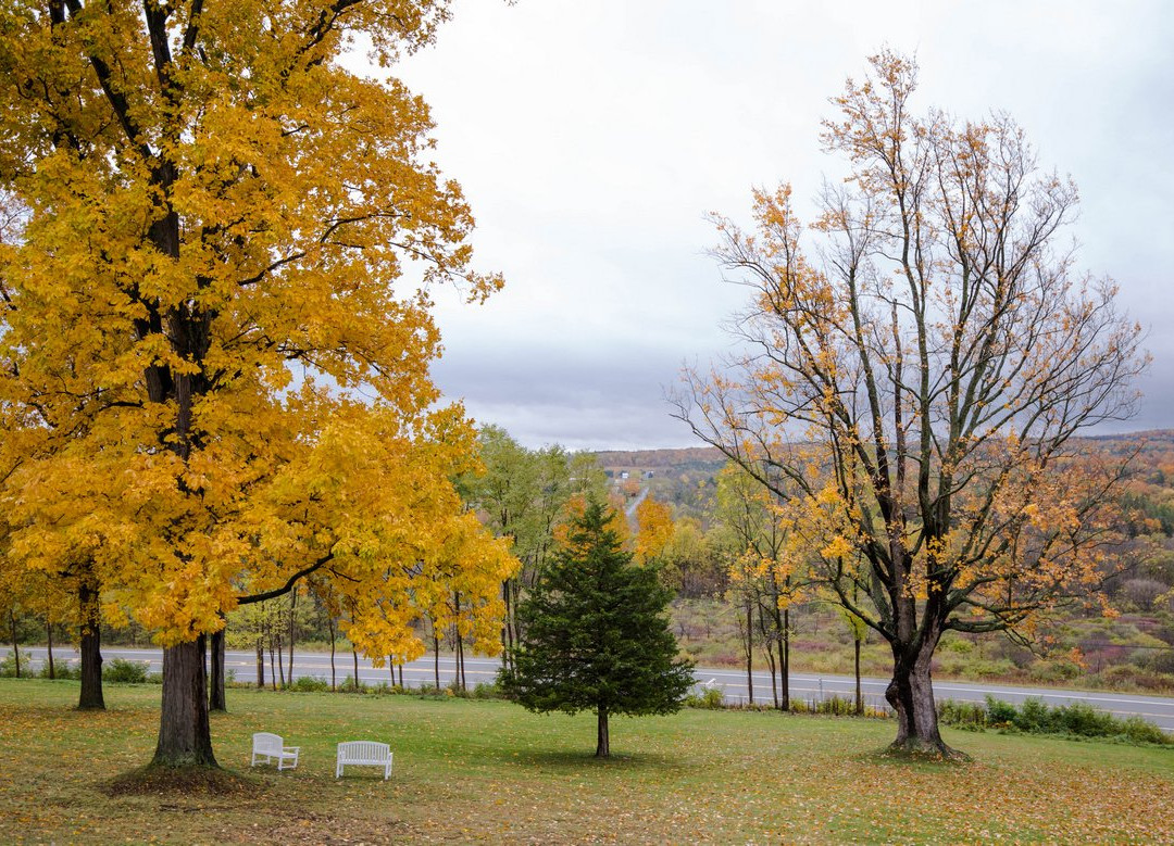 The Mansion at Keuka Lake主图