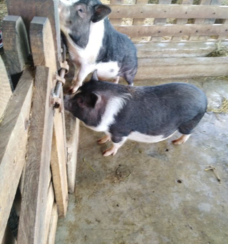 Parques Panaca-Quimbaya必去景点