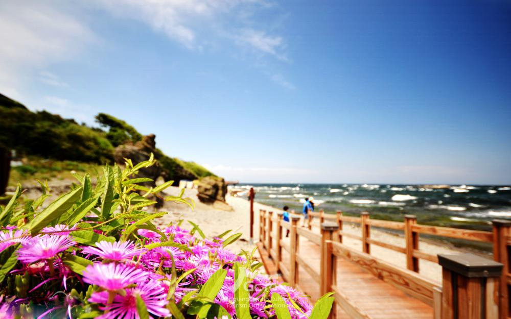 Guryongpo Beach景点图片