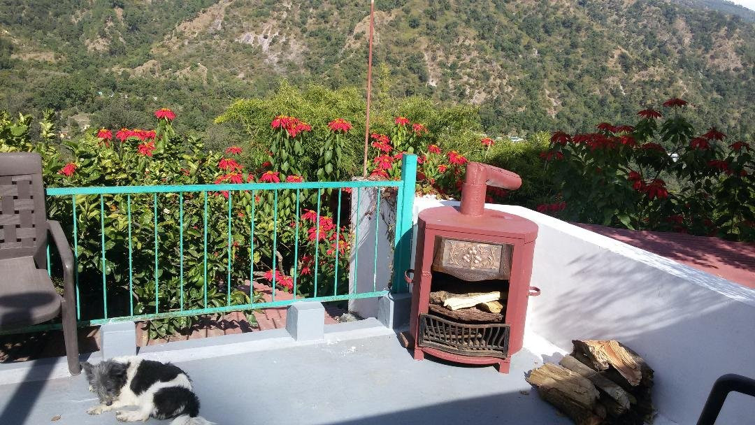 Rosastays Jeolikote, Nainital主图