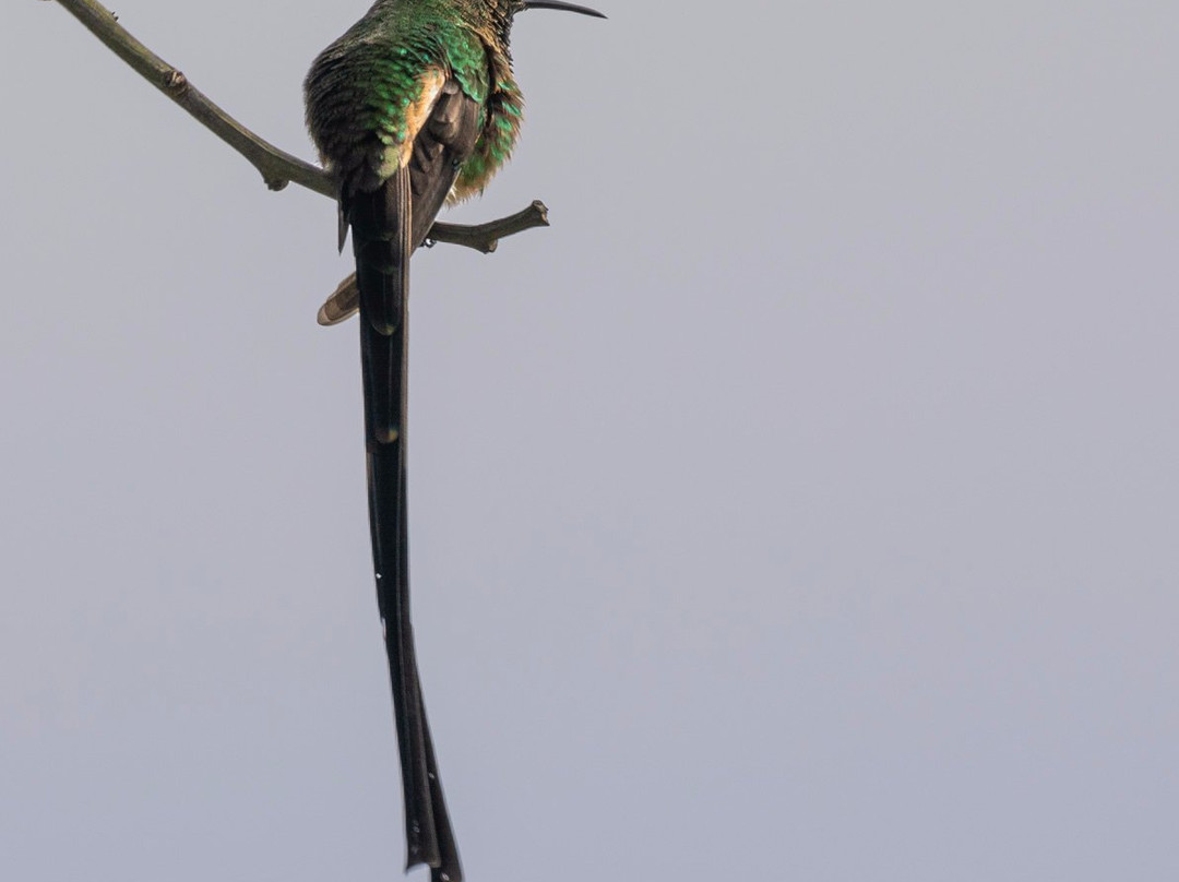 Pululahua Ecolodge主图